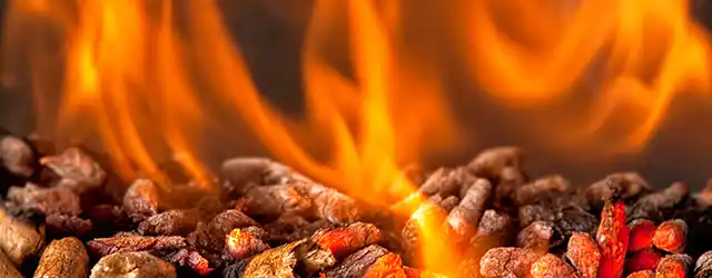 Wilfer Sanitär Oberstaufen Brennholz